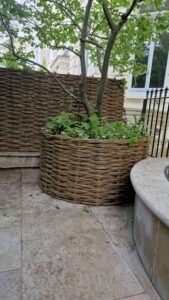 willow planter pot and matching woven garden fence