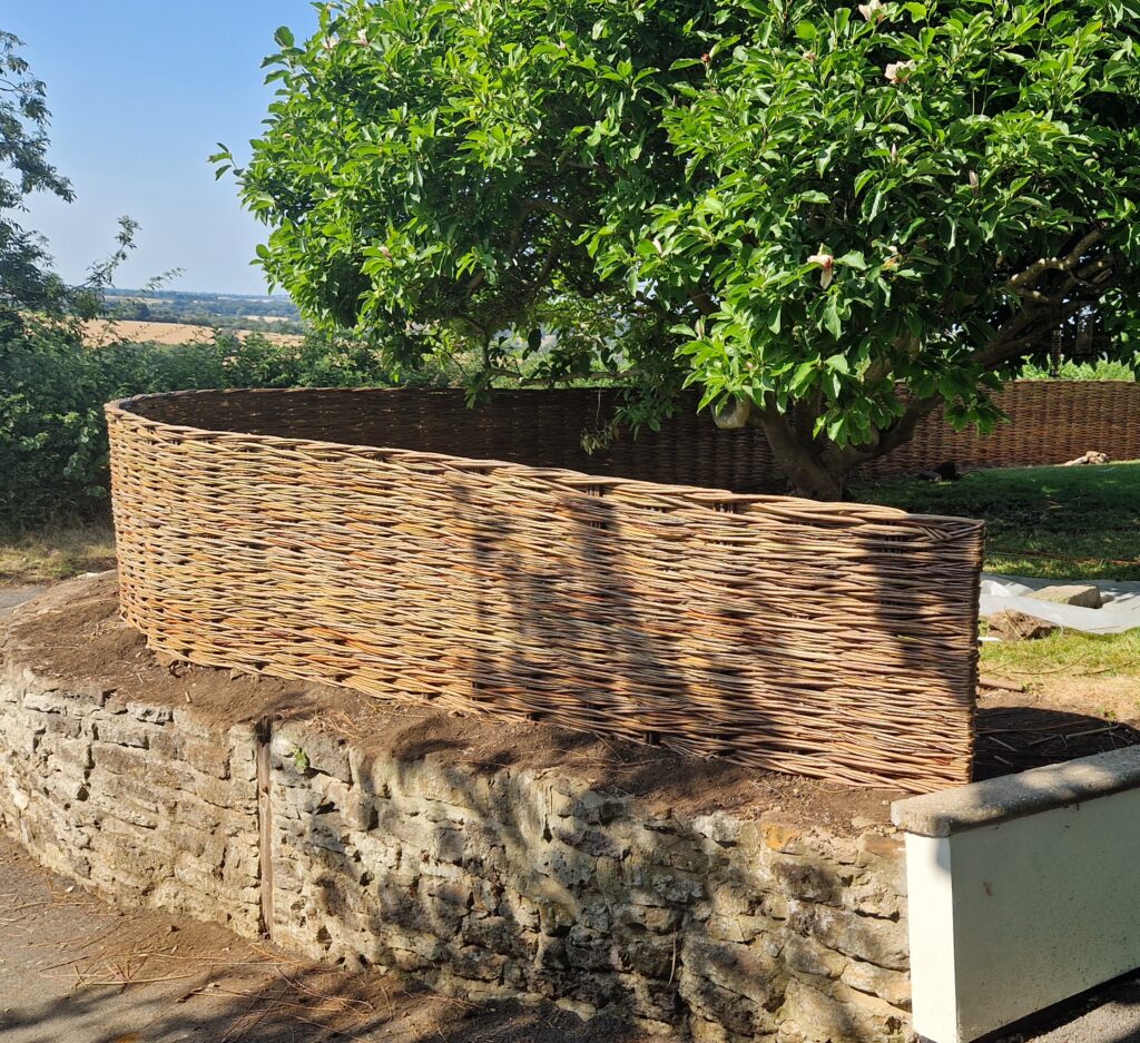 continuous curved willow fence on a wall