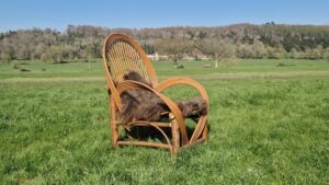 The Stick Smith Craft Course - deluxe bent stick chair